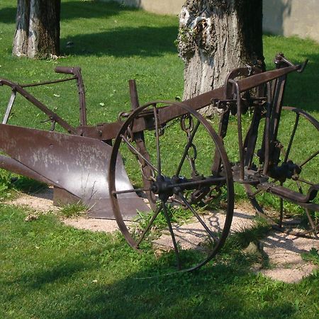 Agriturismo Le Cipressine Meolo المظهر الخارجي الصورة