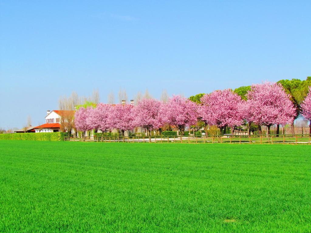 Agriturismo Le Cipressine Meolo المظهر الخارجي الصورة