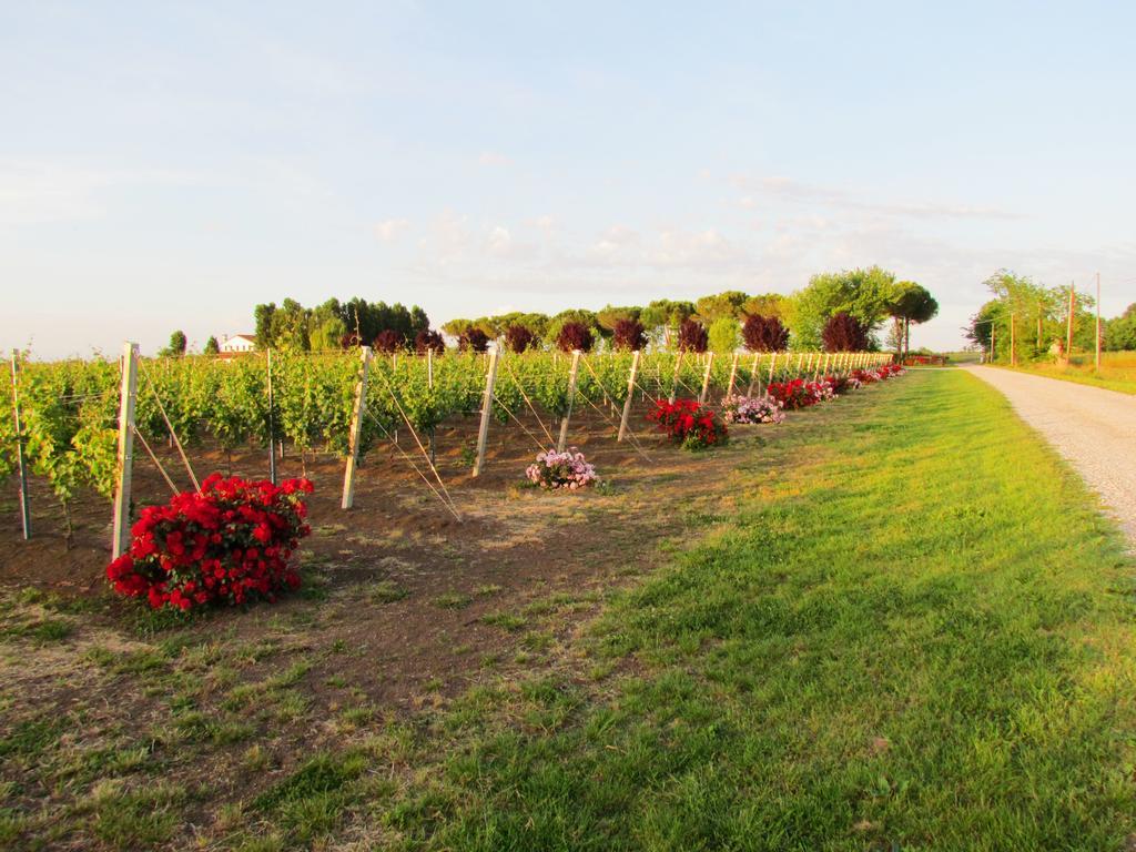 Agriturismo Le Cipressine Meolo المظهر الخارجي الصورة
