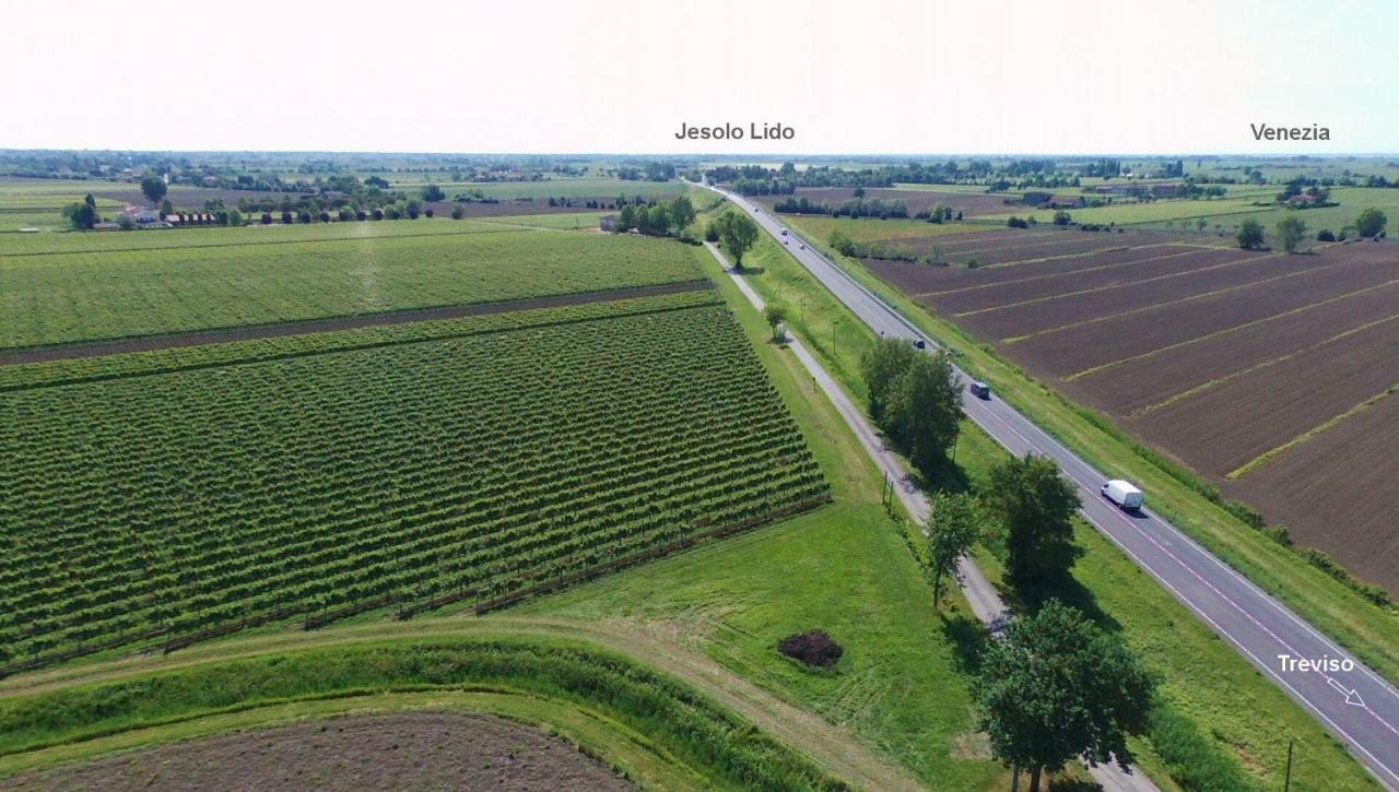 Agriturismo Le Cipressine Meolo المظهر الخارجي الصورة